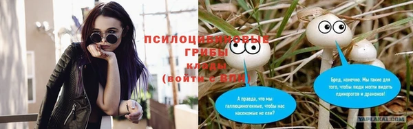 PSILOCYBIN Алексин