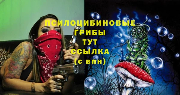 PSILOCYBIN Алексин
